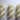 Lemon Curd - Silky Lace